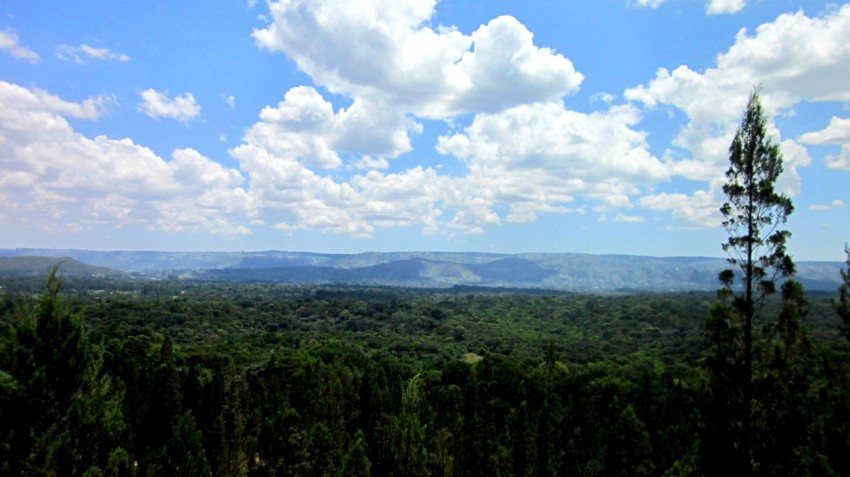 a scenic view of a valley with trees and mountains in the distance