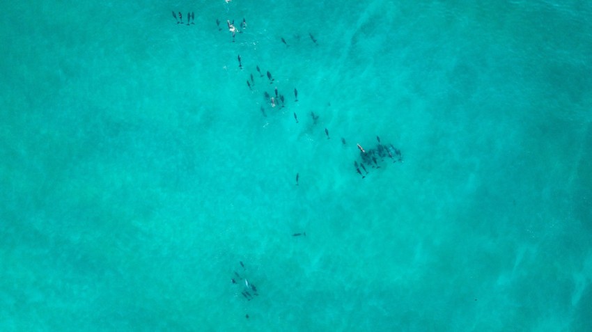 people on body of water