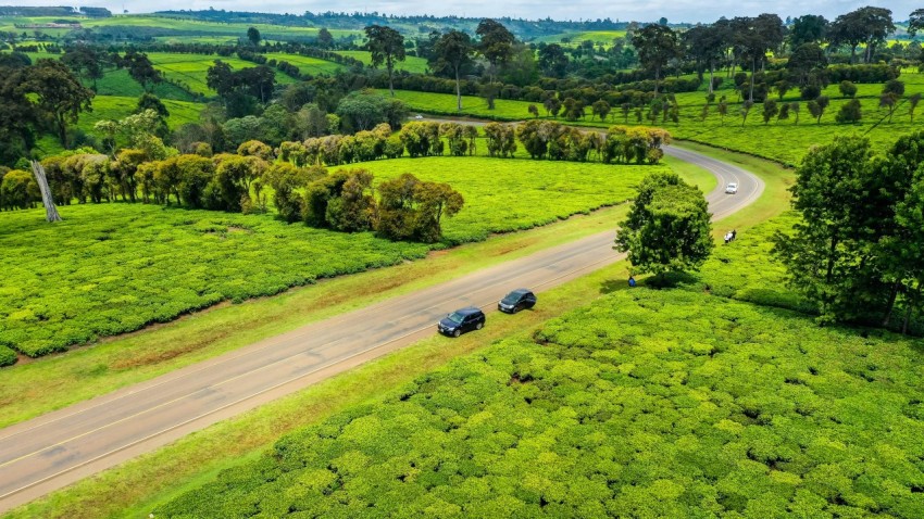 a road with cars on it and trees on the side XVAFT