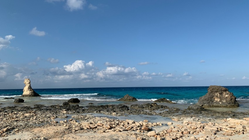 a rocky beach with a large body of water in the background