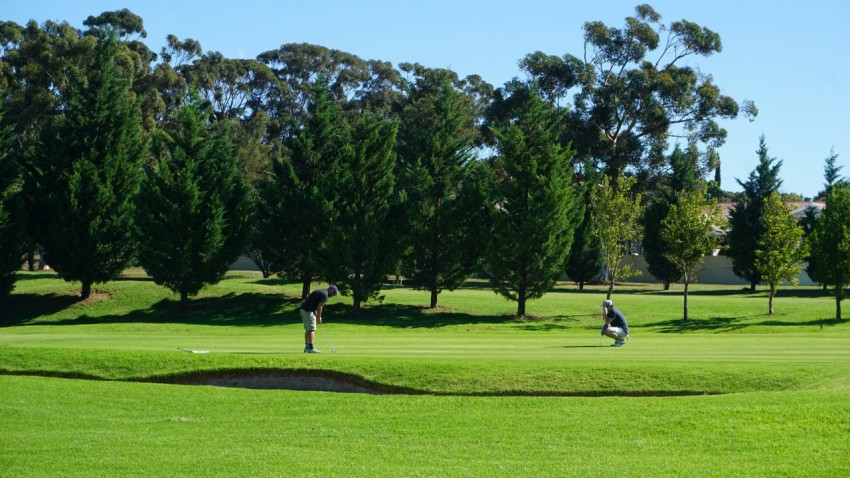 two persons near trees