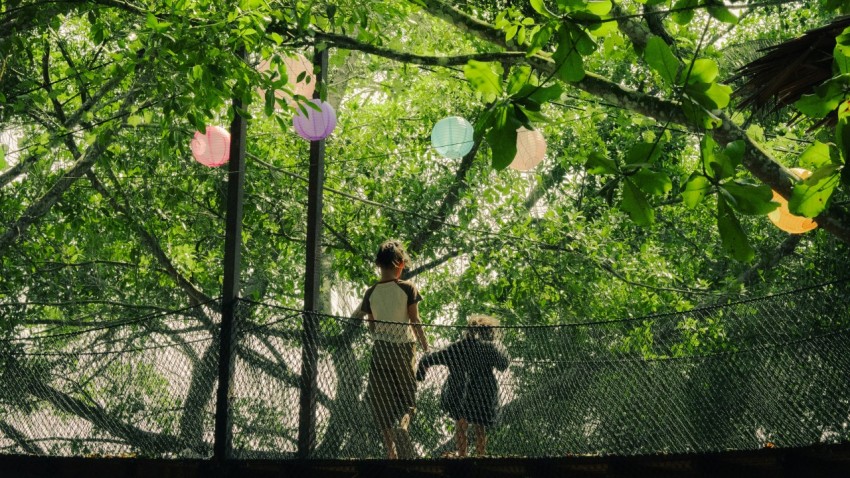 a man and a woman walking through a forest