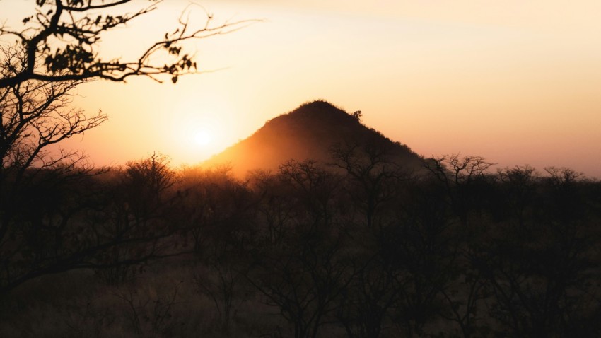 a landscape with trees and a hill in the background f16W4P