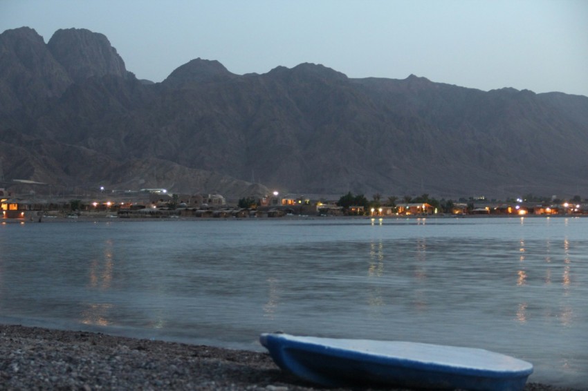 a blue surfboard sitting on the shore of a lake