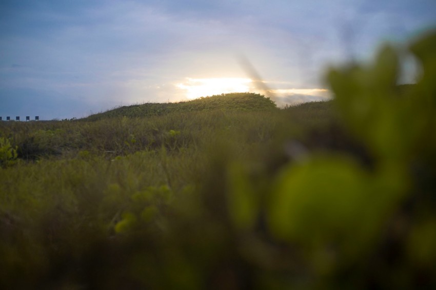 a grassy hill with the sun in the background