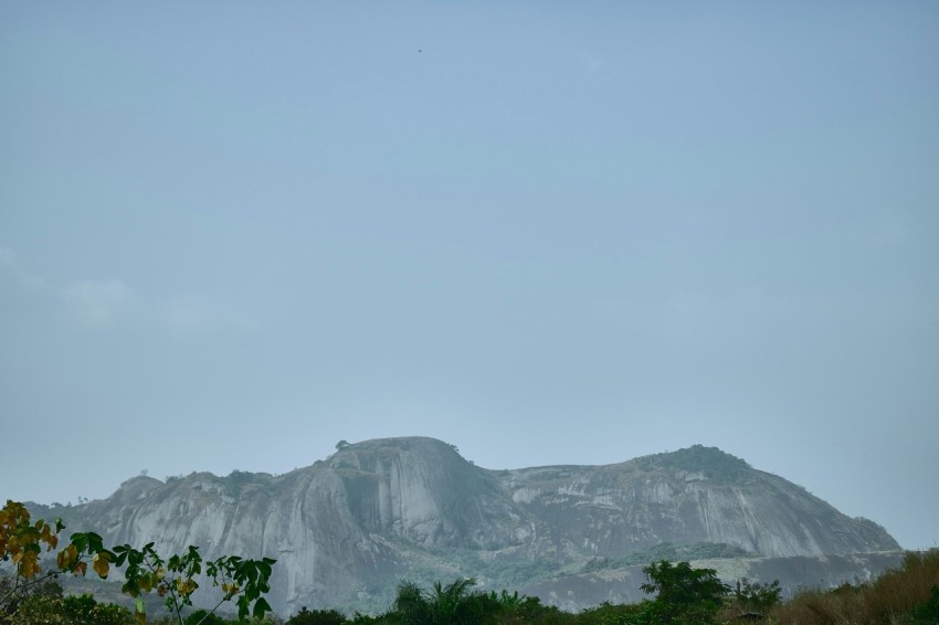 a view of a mountain with trees in the foreground