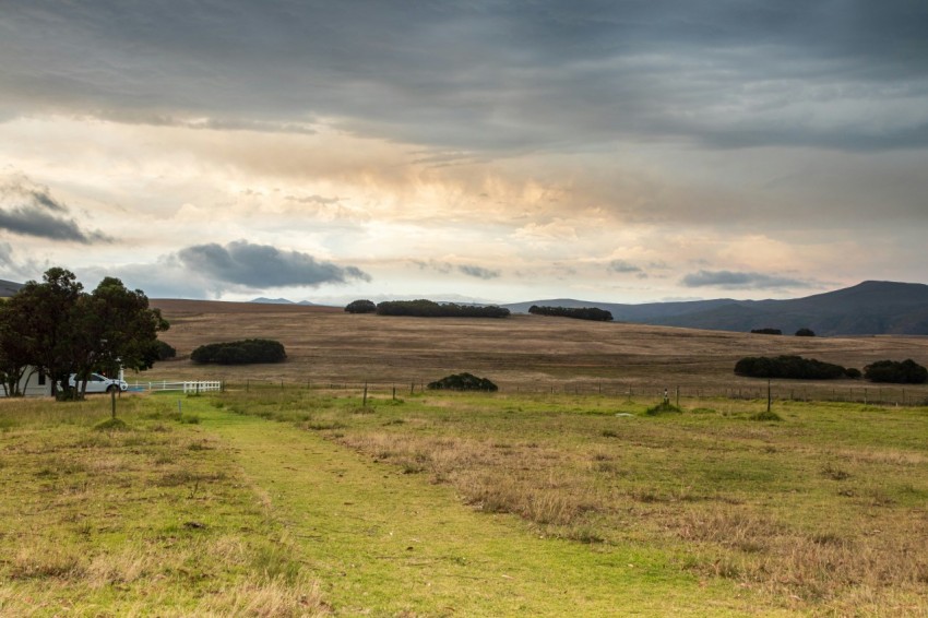 a field with trees and hills in the background F