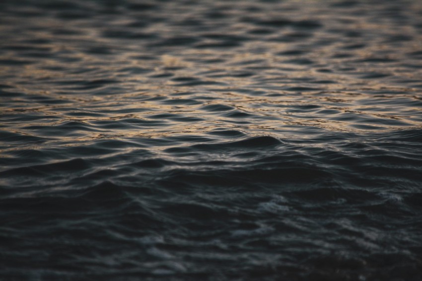 body of water during daytime