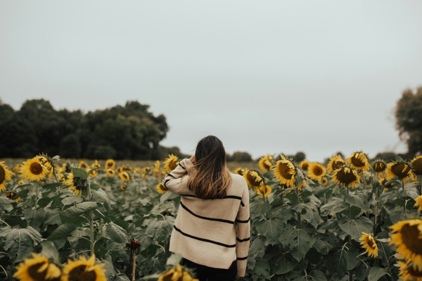 woman standing in sunflowers fields