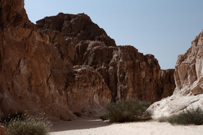 a desert area with large rocks and plants