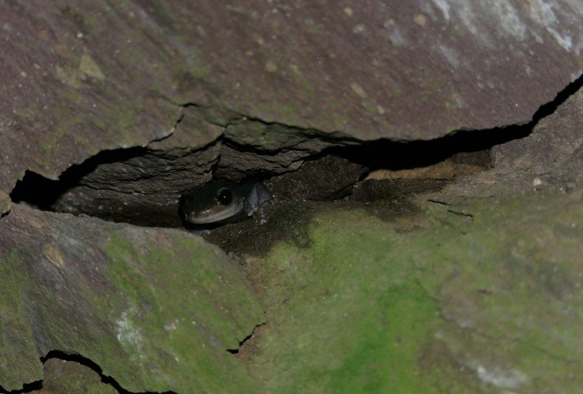 a small hole in the side of a mountain