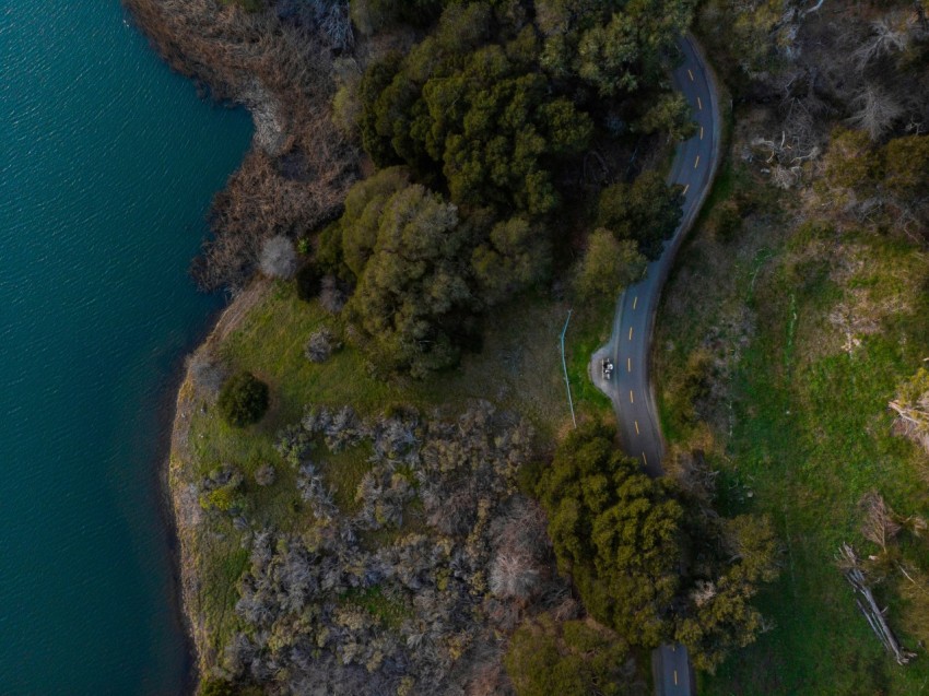 birds eye photography of road near body of water