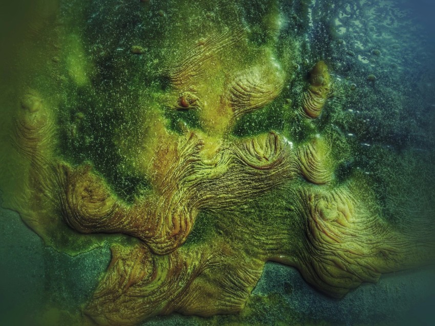 green and blue abstract painting