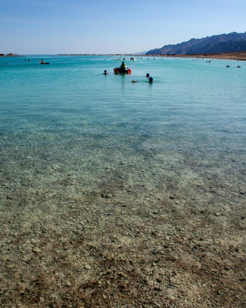 a group of people in a body of water