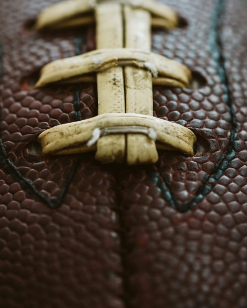 aerial photo of beach