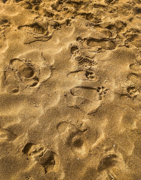 footprints in the sand of a beach