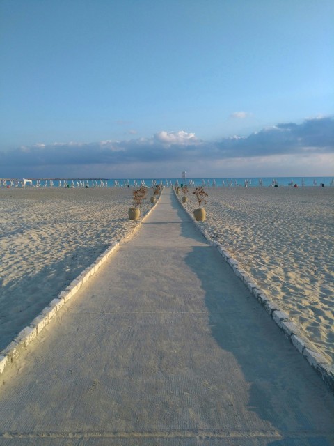 road near ocean under cloudy sky