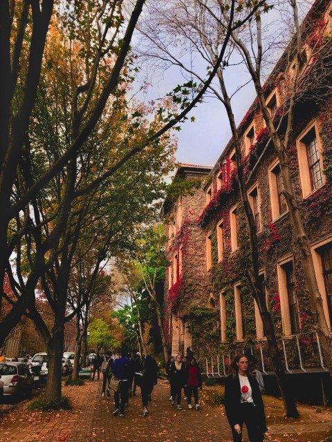 people walking on street near brown concrete building during daytime