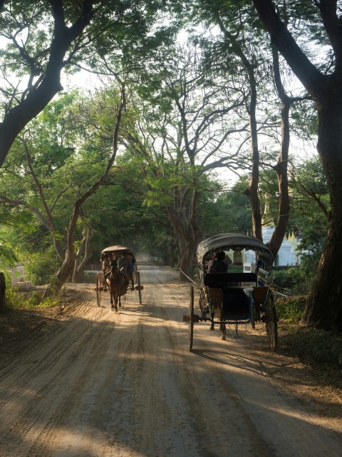 two horse drawn carriages traveling down a dirt road