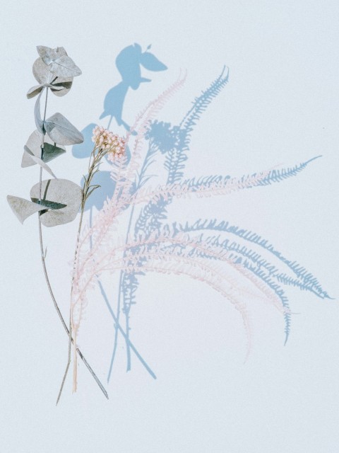 blue and white flower painting tHB