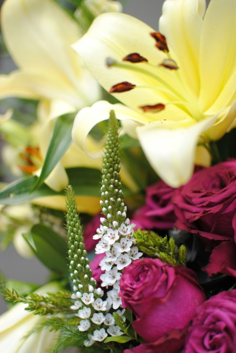 a bunch of flowers that are in a vase