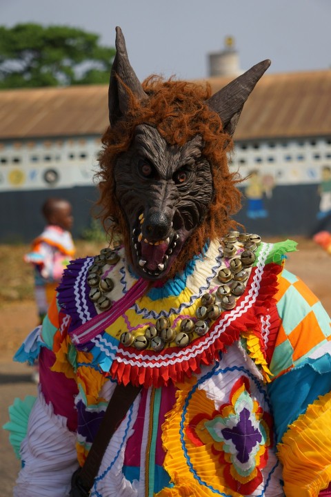 brown and black animal wearing yellow and pink dress sgxg