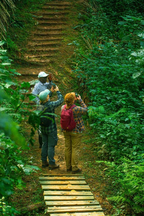 a couple of people that are standing on a wooden path bCq5xKX