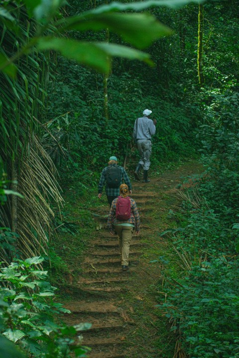 a group of people walking down a trail in the woods