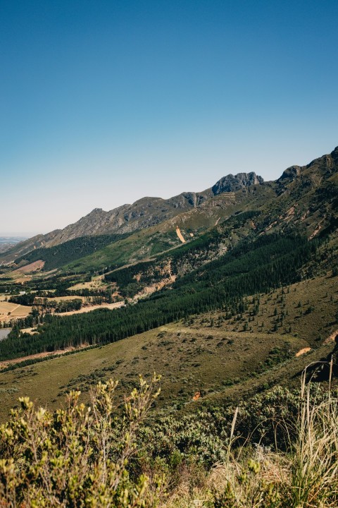 a scenic view of a valley with mountains in the background