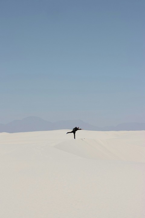 a lone bird flying over a large white desert