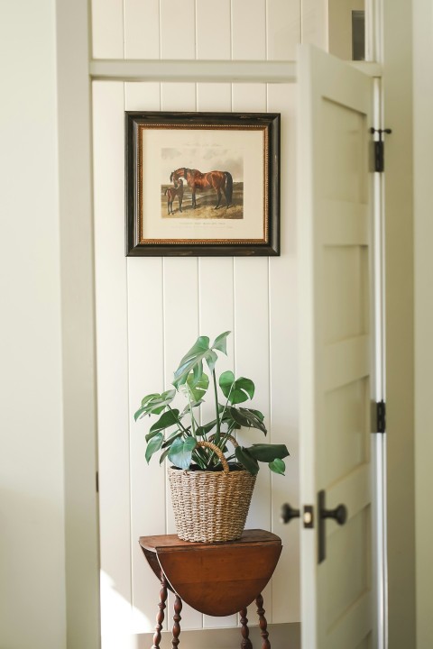 a plant in a pot 9 G