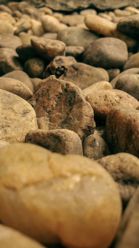 brown and gray stone fragments CRgHZdgC