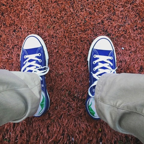 person wearing blue and white low top sneakers